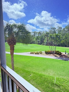 Aerial view of the property featuring vibrant green lawns, mature palms, and scattered trees framing the expansive grounds under a bright blue sky.