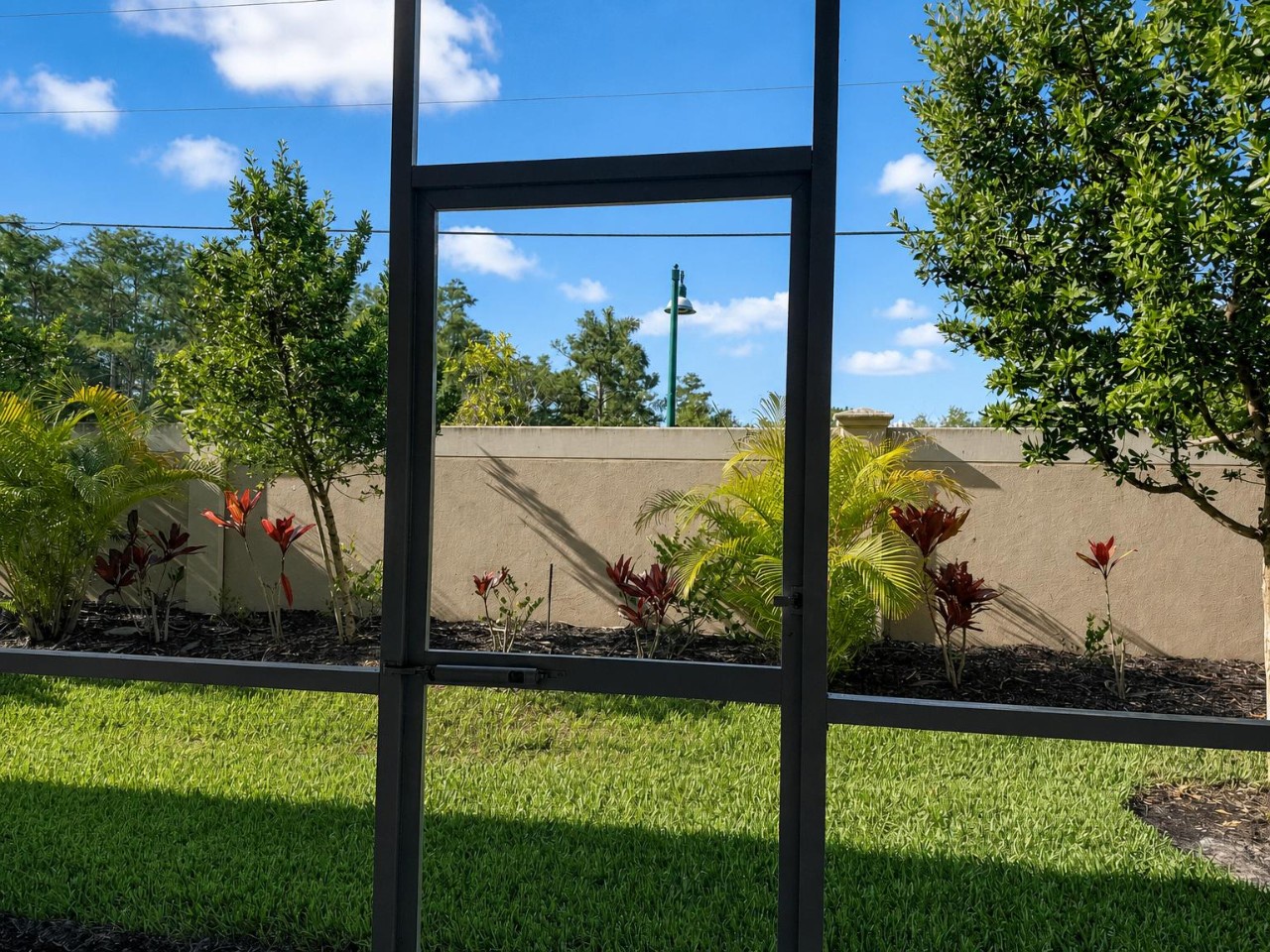 A tranquil backyard garden with vibrant tropical plantings and lush green grass, framed by mature trees under a bright blue sky.