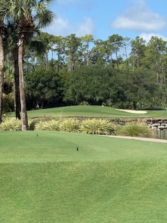 This golf course features lush greens bordered by natural woodlands and a scenic water feature, creating a peaceful setting for your game surrounded by Florida's natural beauty.