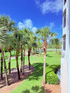 Bright, blue-sky day with palm trees and a landscaped lawn just outside the property—a welcoming tropical backdrop.