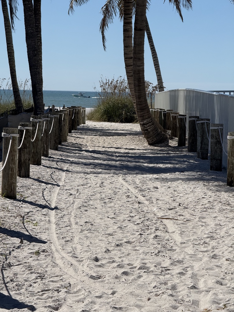 Pristine white sand beach with palm trees and waterfront pier extending into calm blue waters.