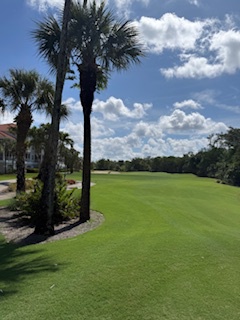Manicured golf course fairway with mature palm trees lining the green, part of the surrounding resort grounds and local landscape.
