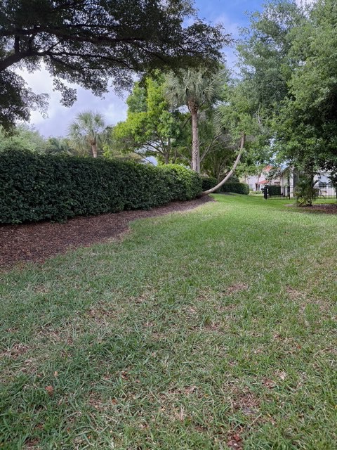 Mature trees and well-maintained landscaping create a peaceful residential setting with manicured lawn areas and natural privacy hedging.