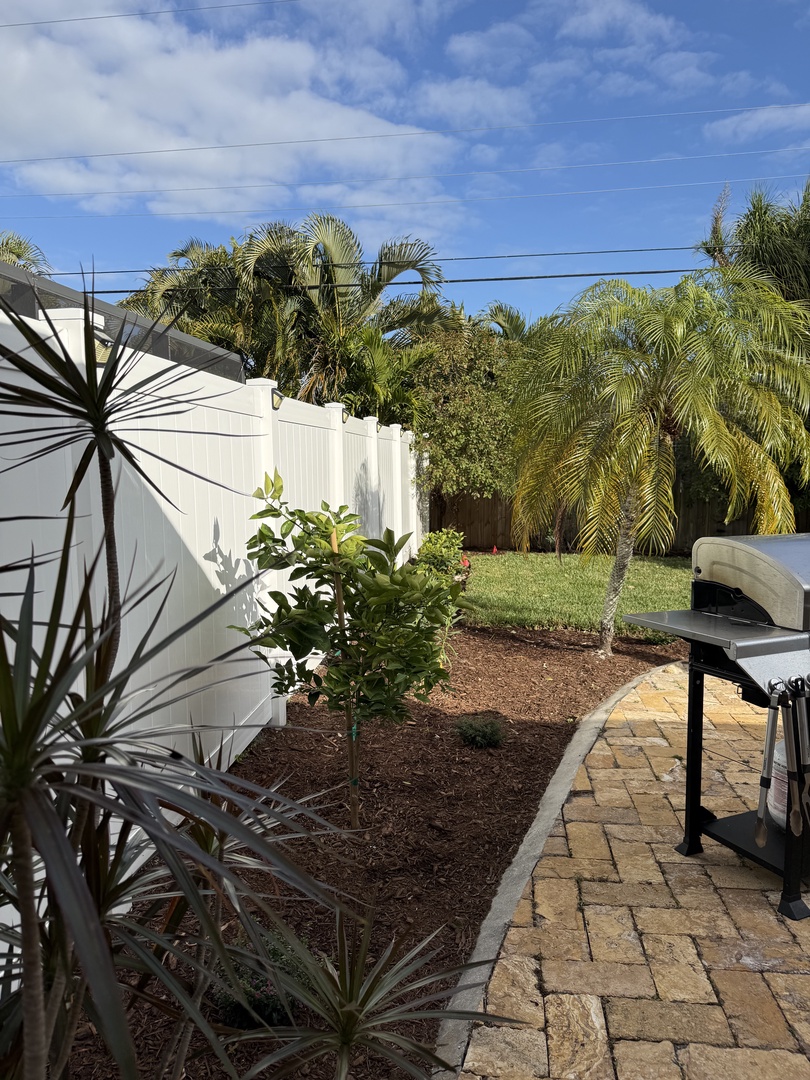 Modern property exterior with tropical landscaping and blue skies overhead.