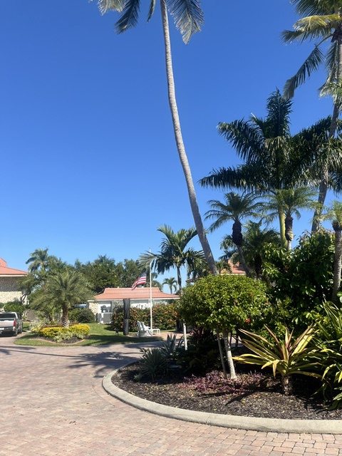 The property is nestled in a lush tropical setting with towering palms and vibrant greenery surrounding the entrance area.