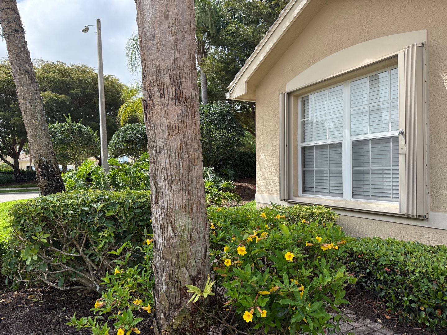 Charming property exterior featuring tropical landscaping with vibrant flowering plants and mature palm trees in a peaceful residential setting.