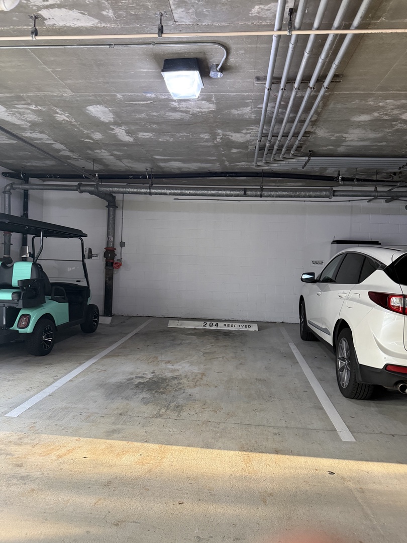 Parking Spot 204 second space on left as you enter garage