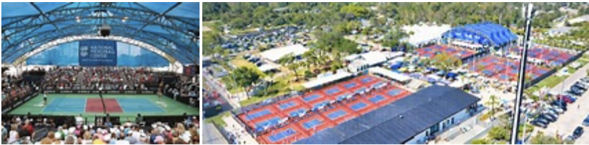 Pickleball Galore