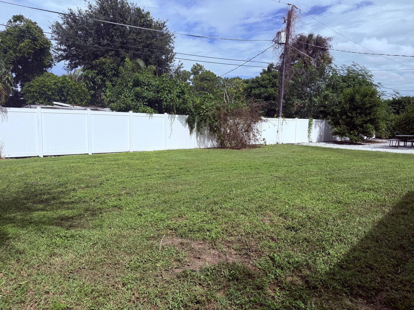 A private, fenced backyard with a spacious lawn surrounded by mature trees and lush greenery, offering a quiet outdoor space for your stay.