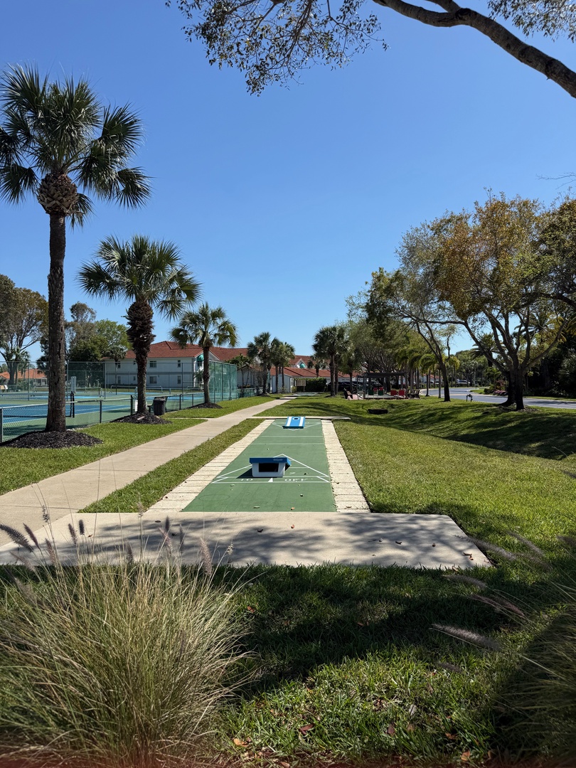 Shuffle Board_Cornhole Toss