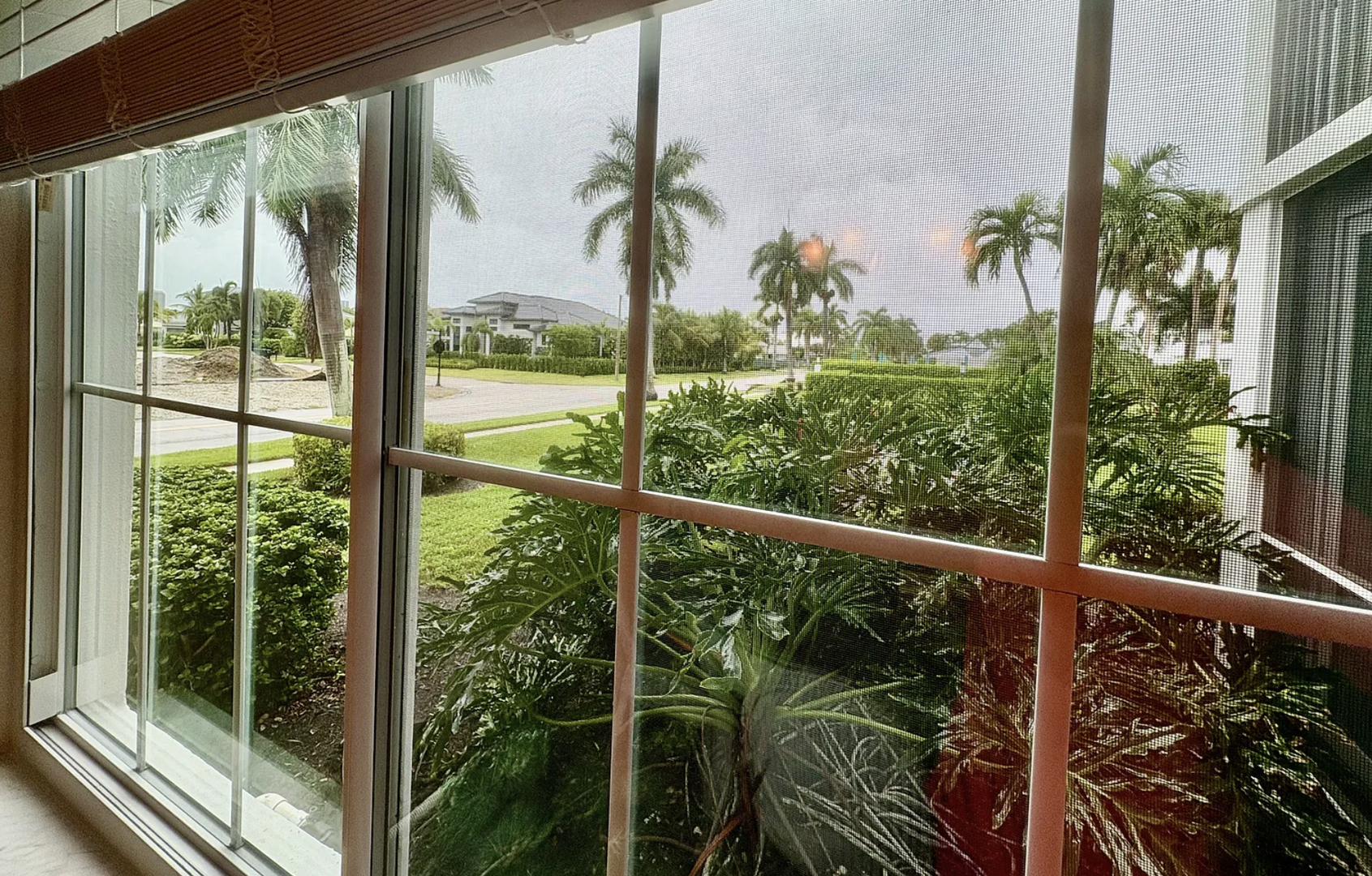 View from dining room privacy