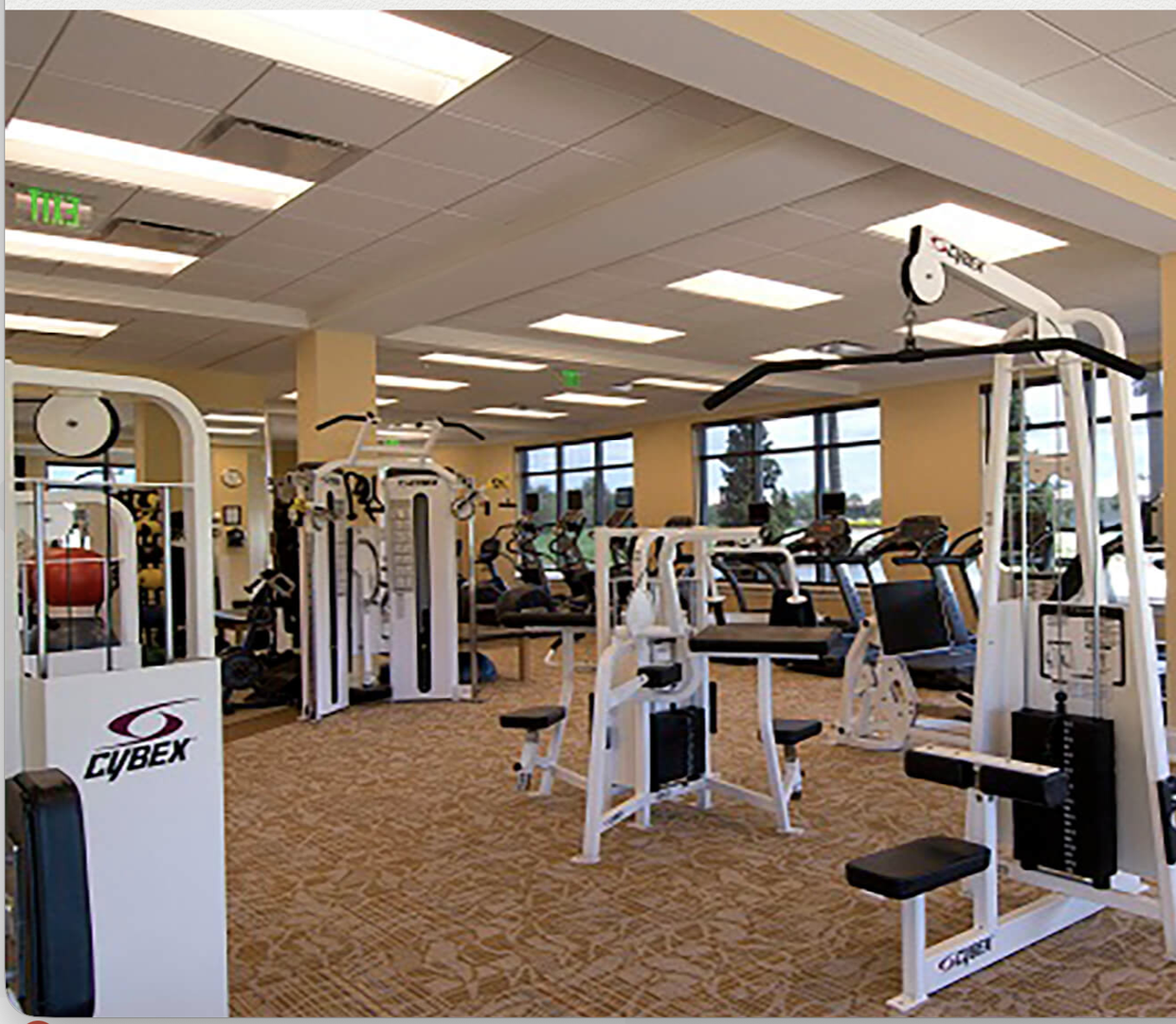 Stay active in your spacious, well-equipped fitness center with premium Cybex machines, cardio equipment, and free weights—everything you need for your daily workout routine.