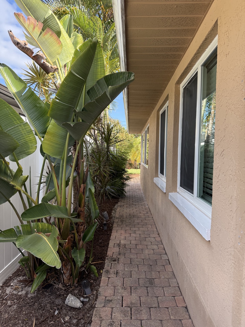 Step into your private tropical courtyard where lush banana plants and palms create a serene oasis beneath your skylight.