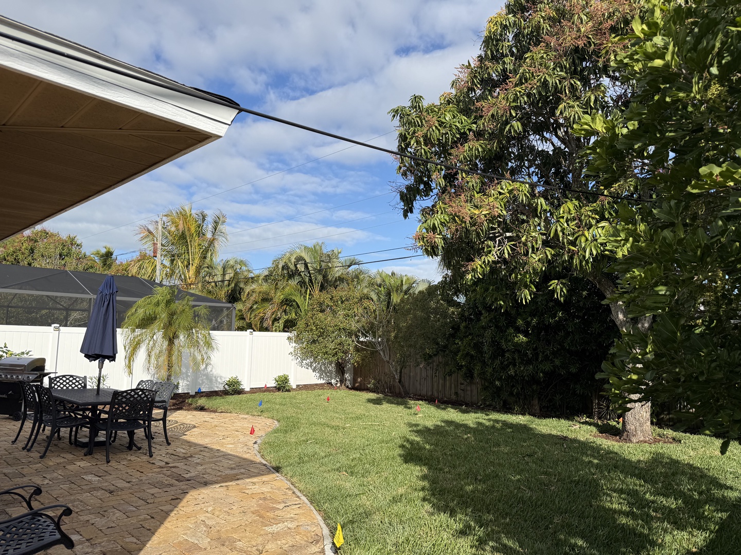 Your private backyard oasis features lush green lawn space perfect for relaxation under swaying palms and tropical foliage.