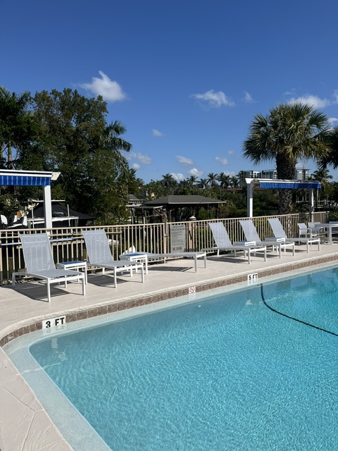 Sparkling pool surrounded by palm trees and comfortable lounge chairs under a clear blue sky—perfect for your sunny afternoon retreat.