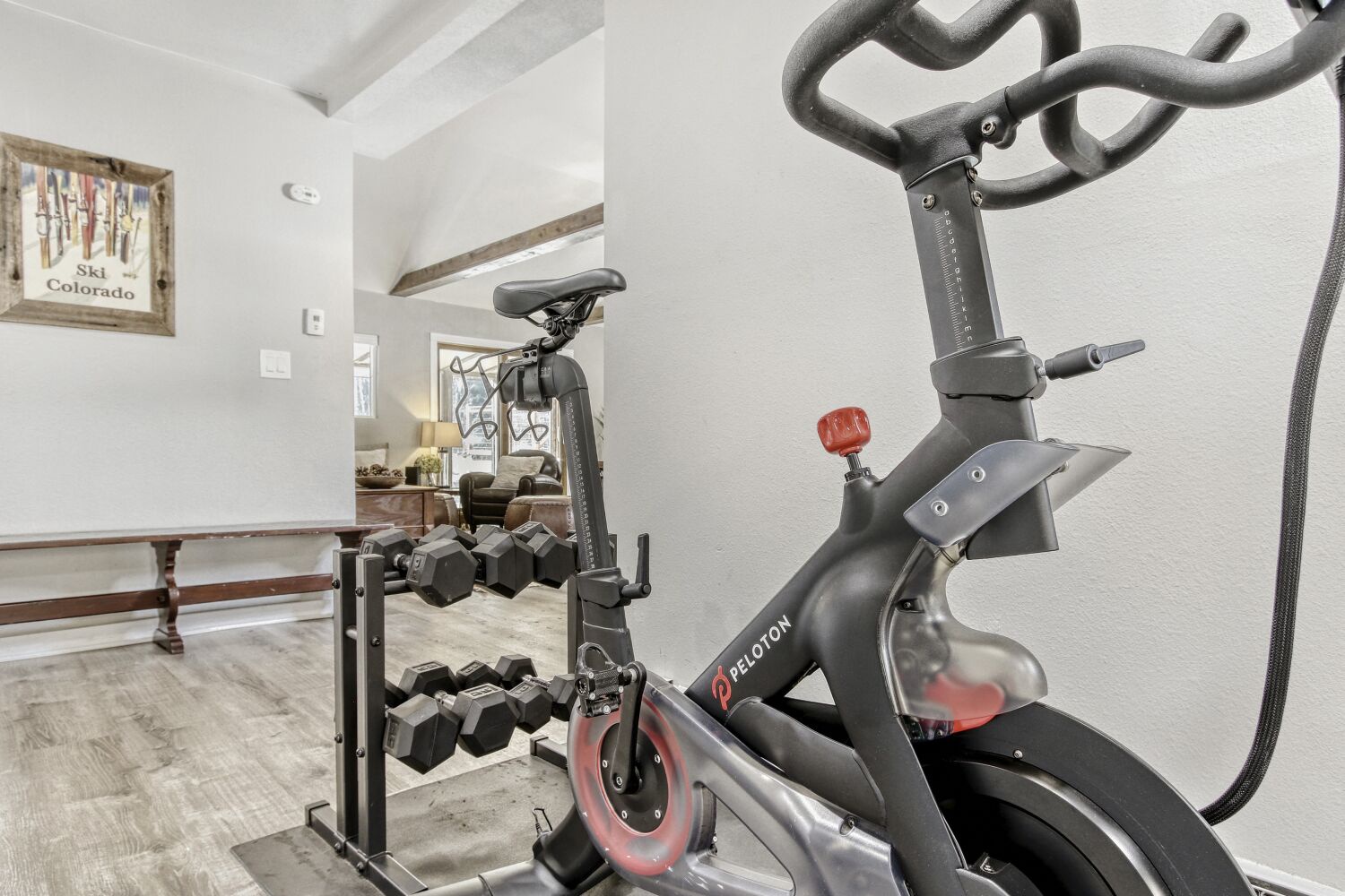 Stay active in your private fitness space with quality equipment and mountain-inspired decor.