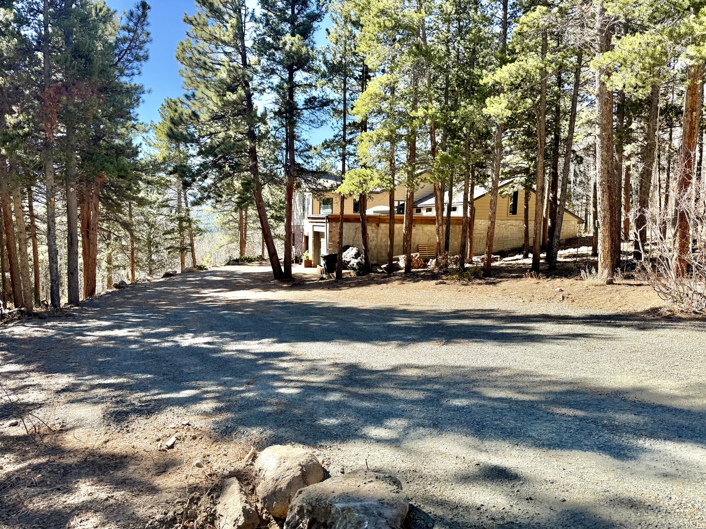 Mountain retreat nestled in towering pines with private driveway and natural forest surroundings.