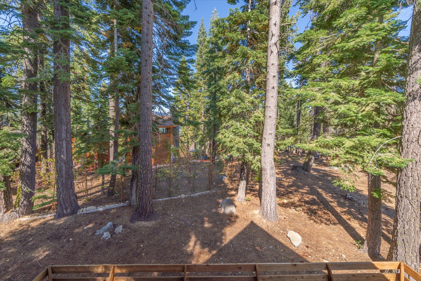 A serene forest setting surrounds the property.