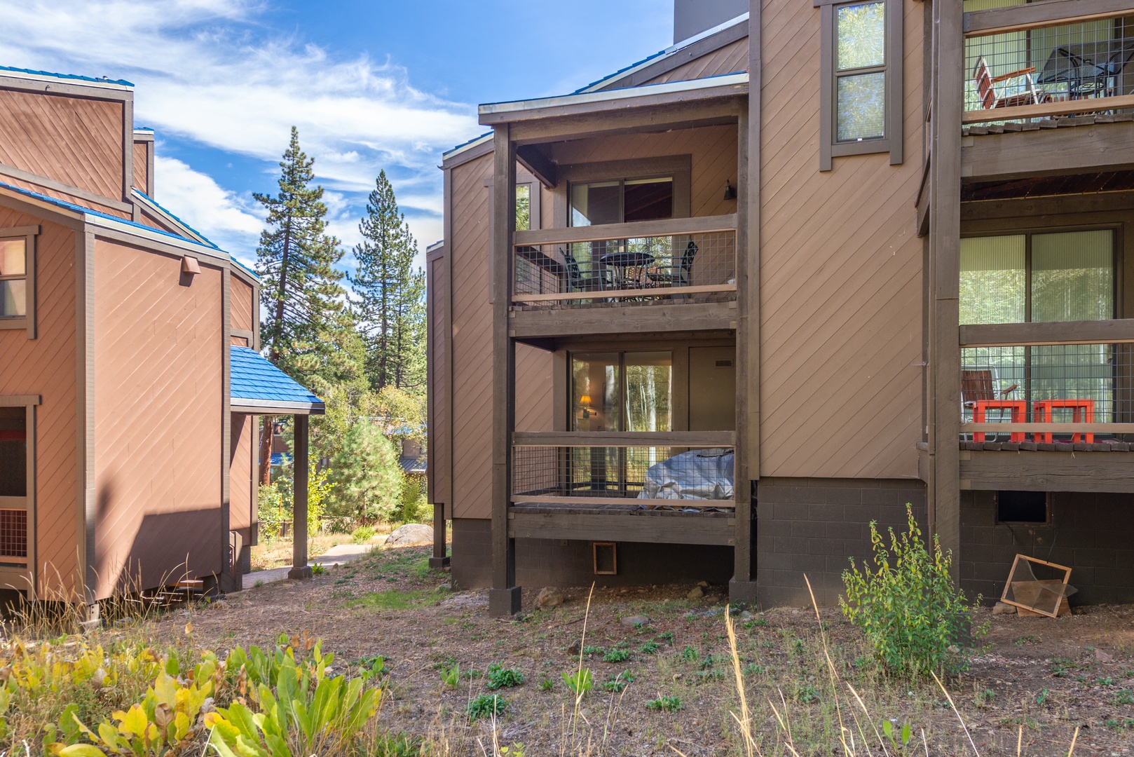 Modern mountain architecture surrounded by towering pines, offering a peaceful retreat in a natural wooded setting.