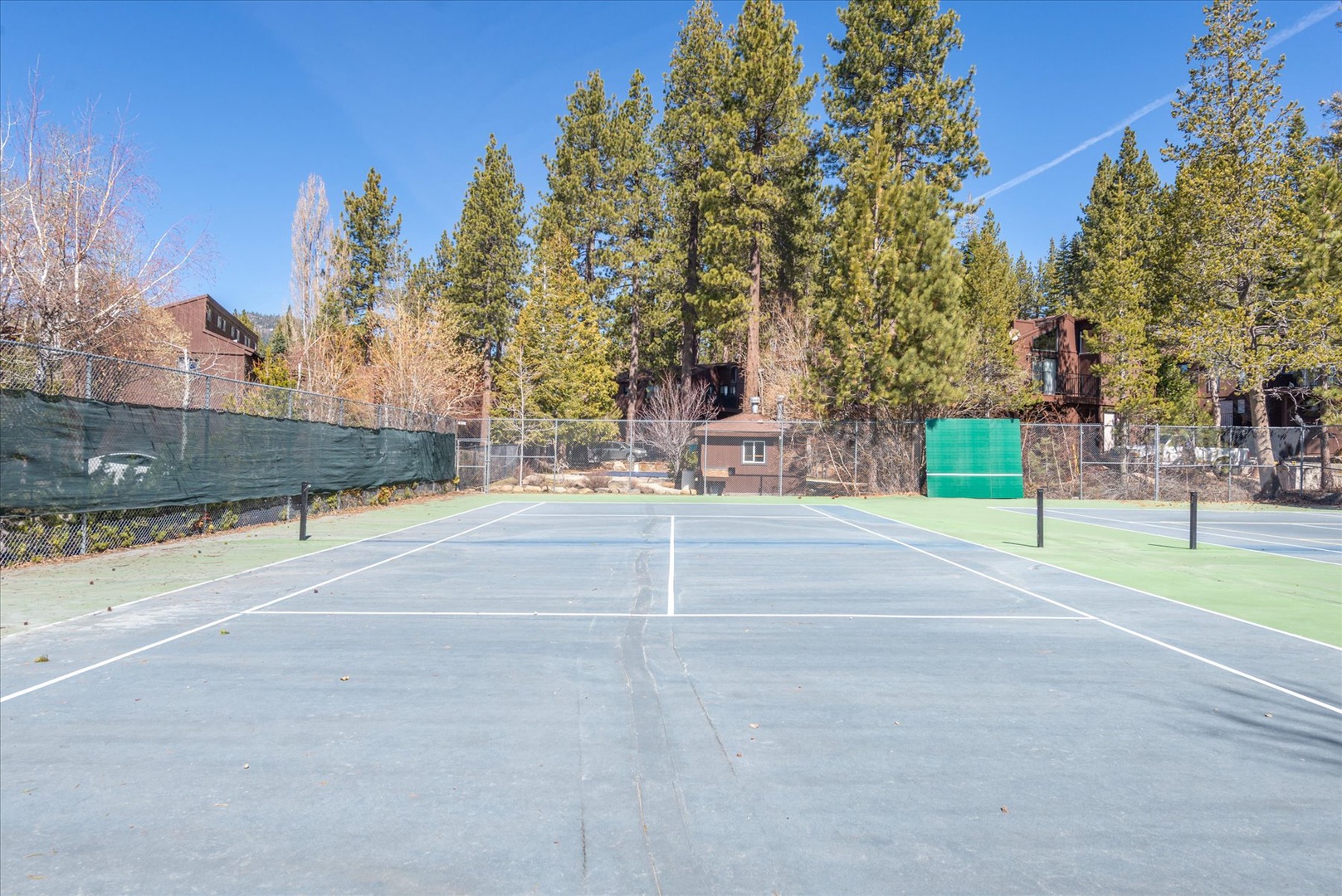 Tennis court surrounded by towering pine trees and mountain homes, offering recreation in a scenic alpine setting.