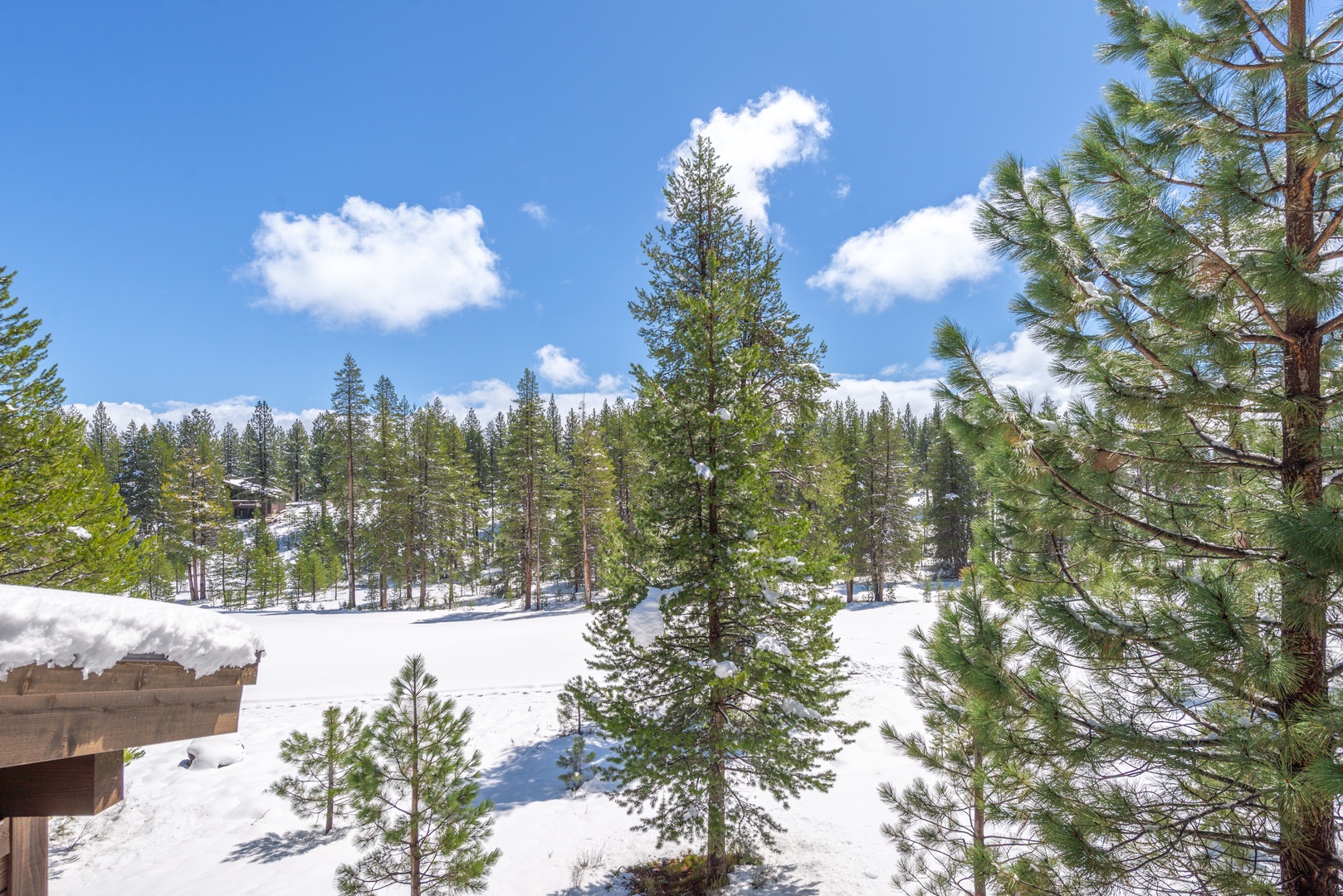 Snow-covered mountain landscape with evergreen forest under bright blue skies and scattered clouds.