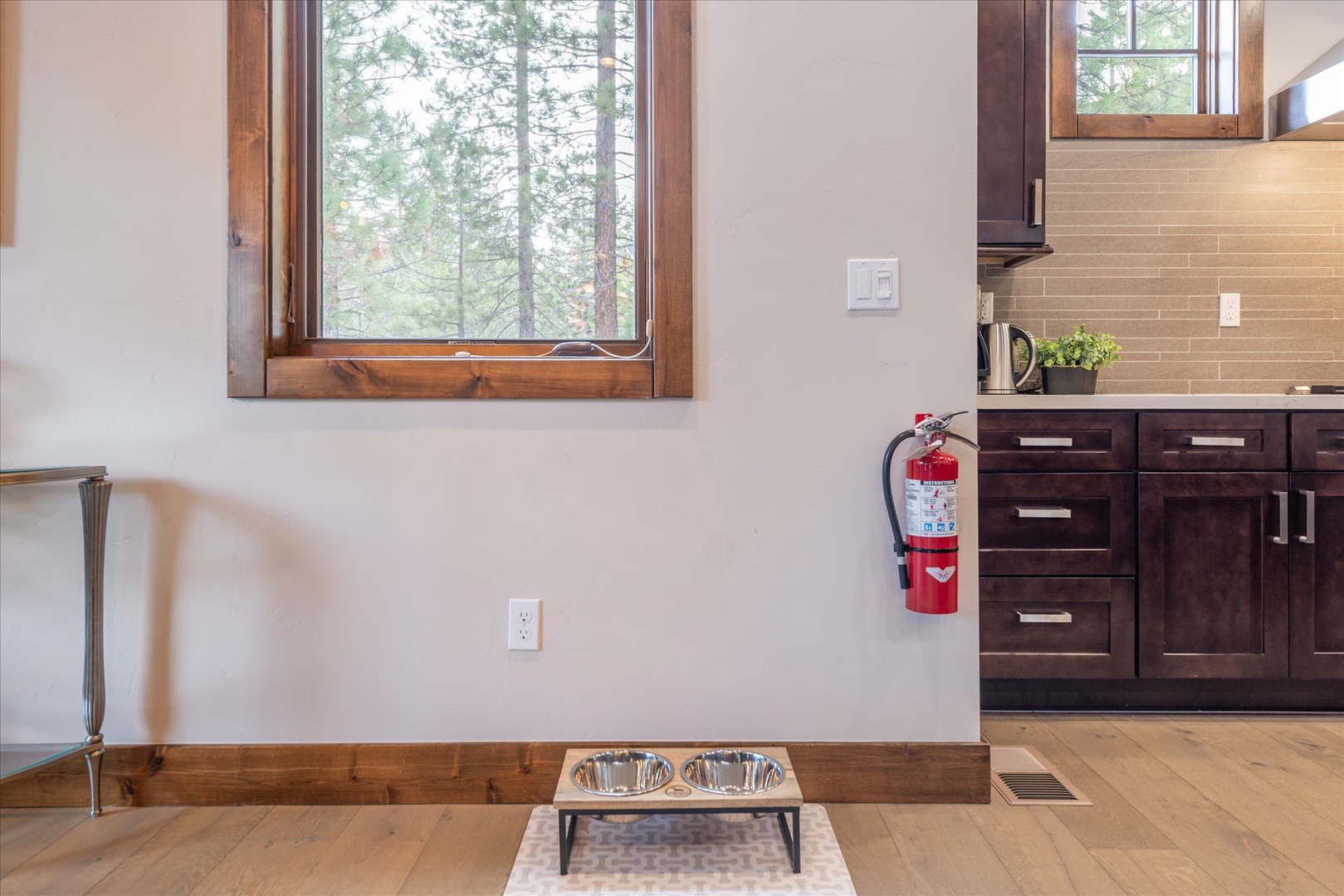 Your modern kitchen opens to peaceful forest views, while thoughtful pet amenities make your furry companions feel right at home.