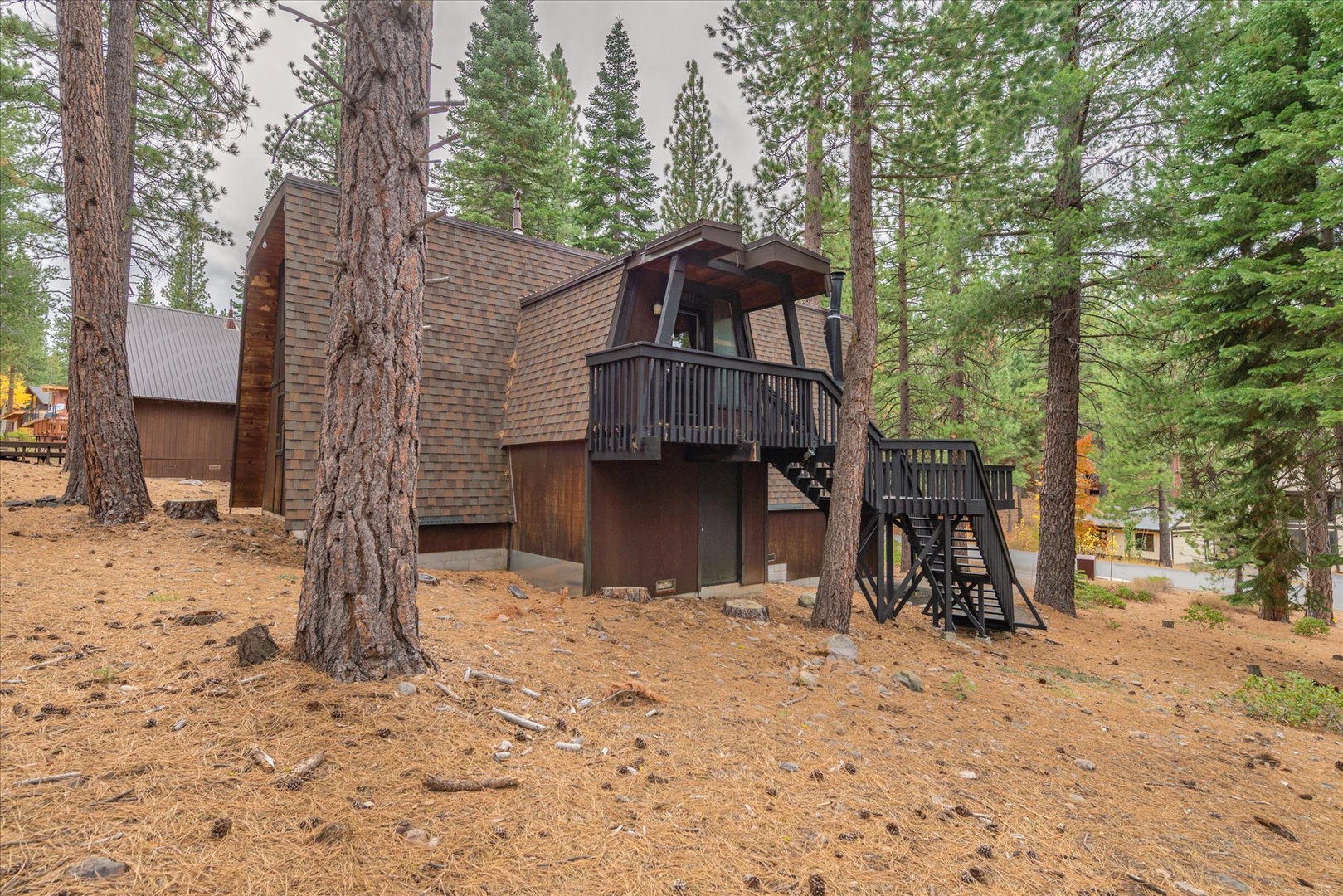 A charming mountain cabin nestled among towering pines, offering a peaceful forest retreat where natural beauty surrounds you at every turn.