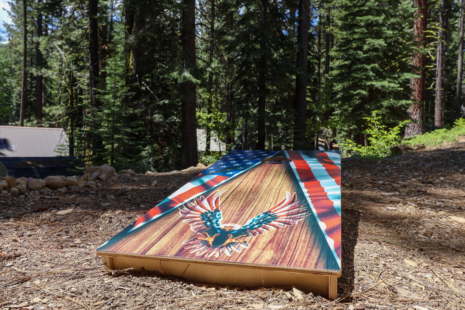 Custom cornhole boards set among towering pines—perfect for friendly competition in the fresh mountain air.