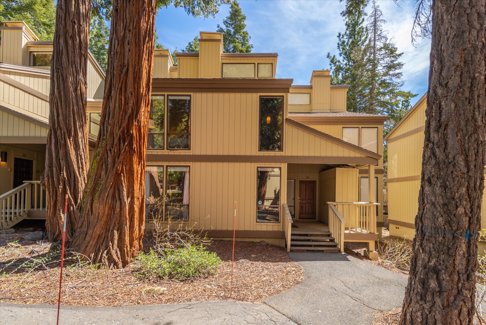 Nestled among towering redwoods, this charming mountain retreat offers a peaceful escape surrounded by nature's majesty.