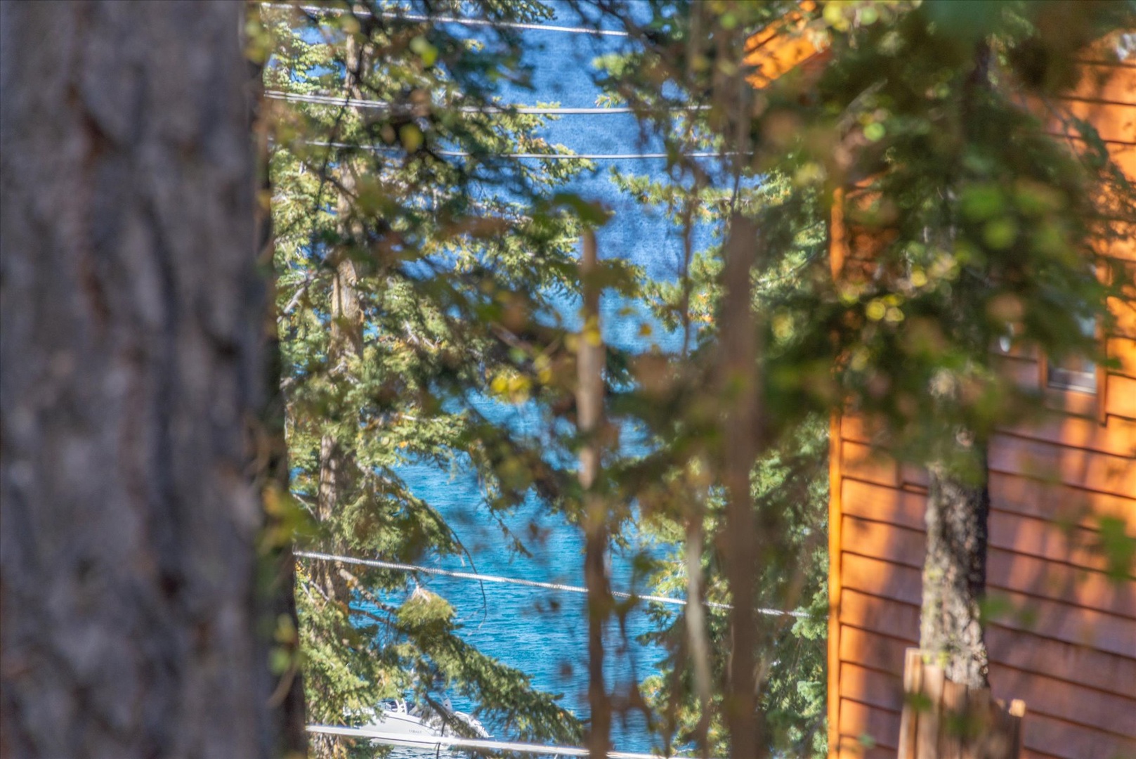 Catch a filtered view of Lake Tahoe.