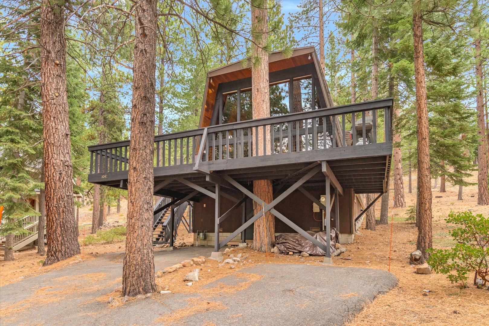 The cabin is nestled among towering pines, featuring a private deck and convenient parking beneath, perfectly situated in a peaceful forest setting.