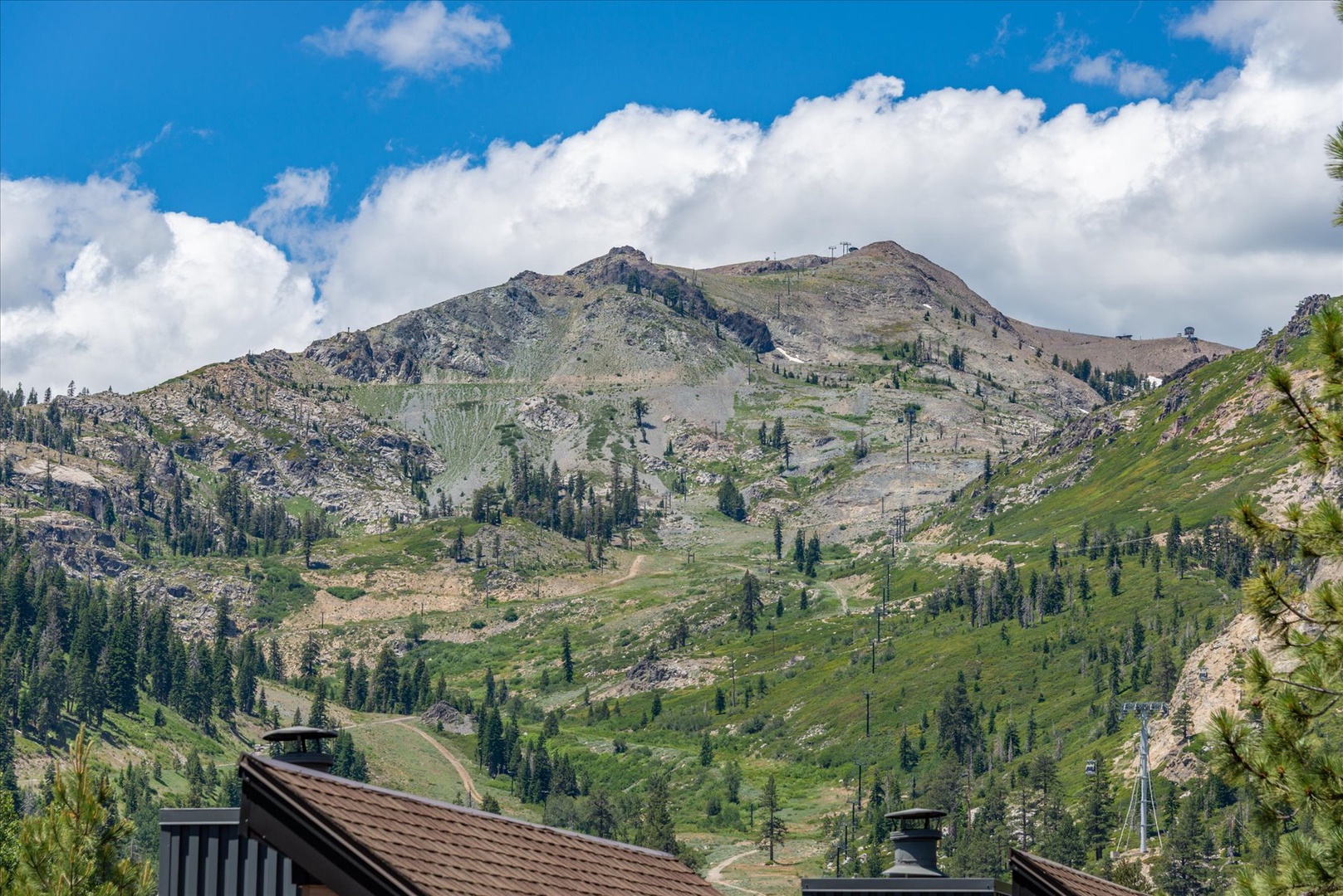 Mountainside property surrounded by evergreen forests and alpine meadows, with sweeping views of rugged peaks and summer trails winding through the natural landscape.