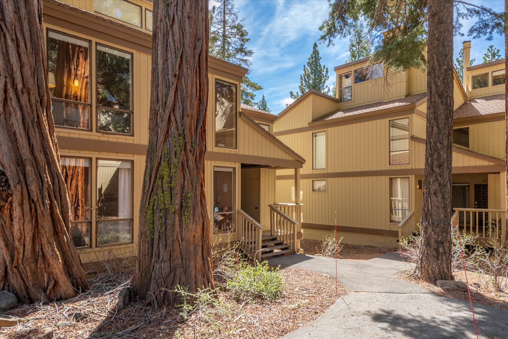 Your condo unit is nestled among towering pines, offering a peaceful forest setting with contemporary comfort.