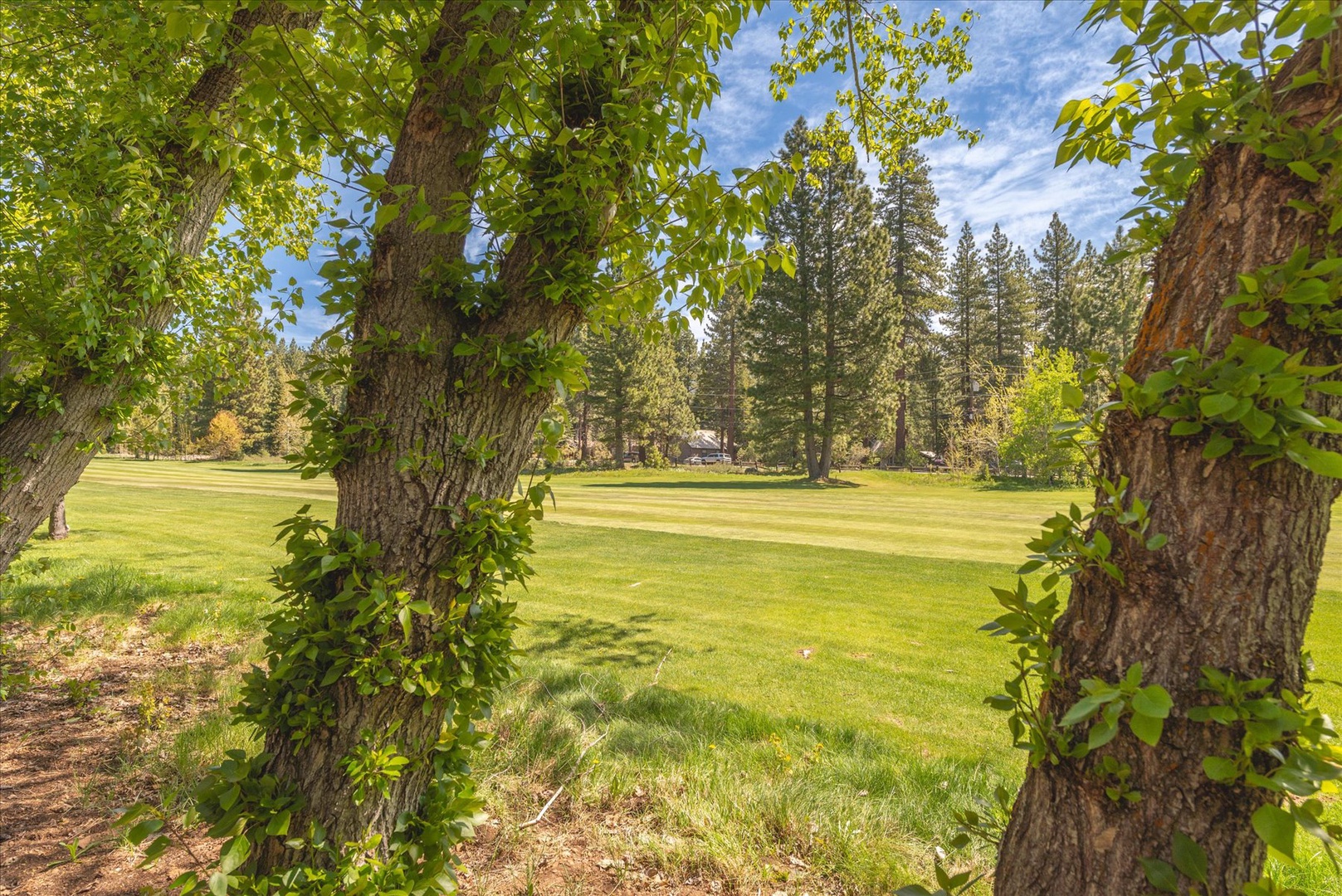 Enjoy backyard views of the golf course and mountain scenery.