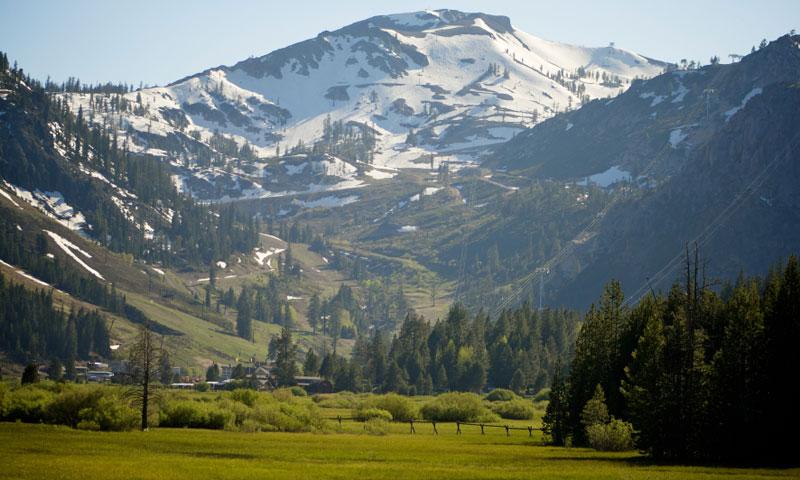 Snow-capped peaks tower above lush meadows and evergreen forests in this stunning alpine valley setting.