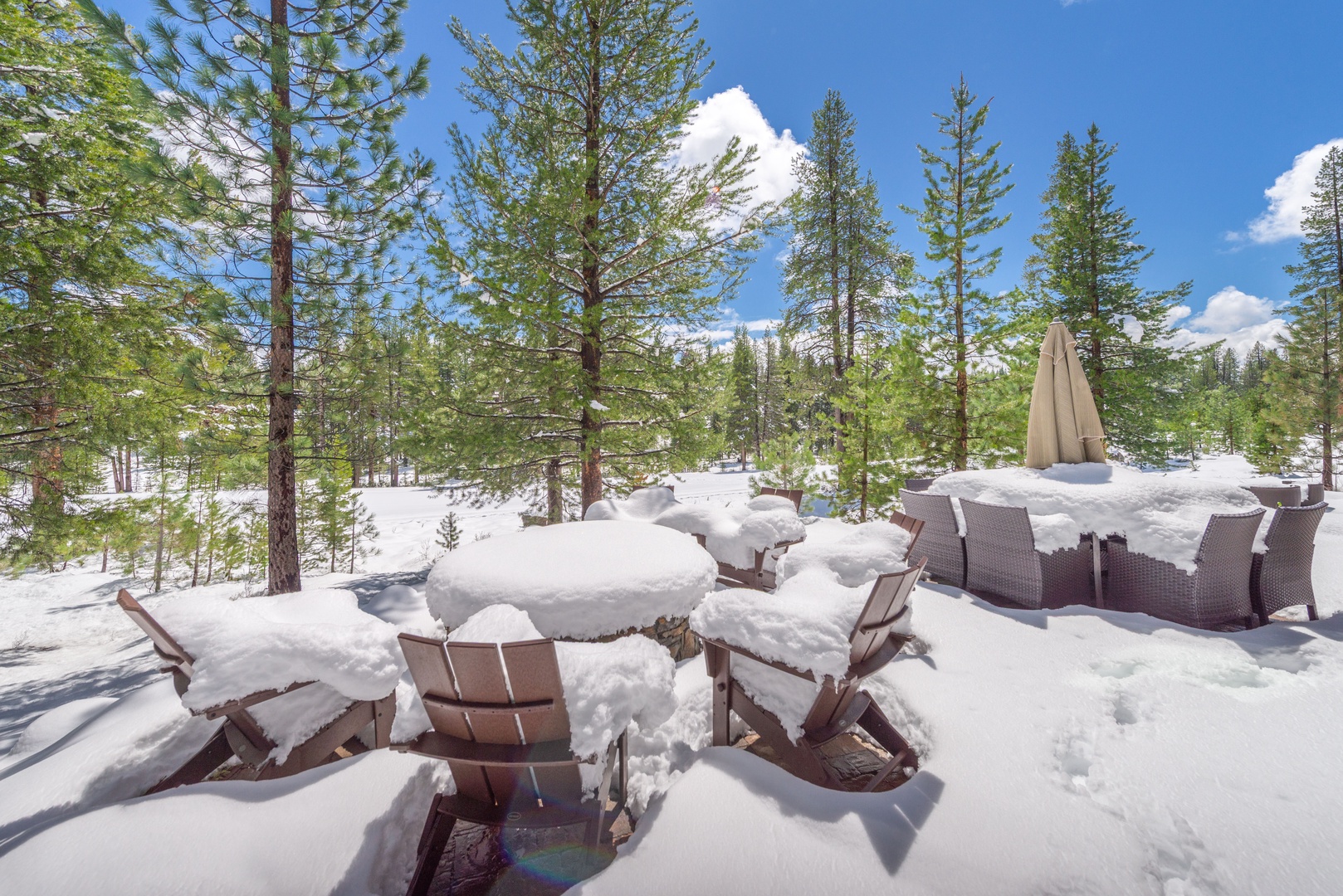 Snow-covered outdoor seating area surrounded by towering pine trees under bright blue skies.
