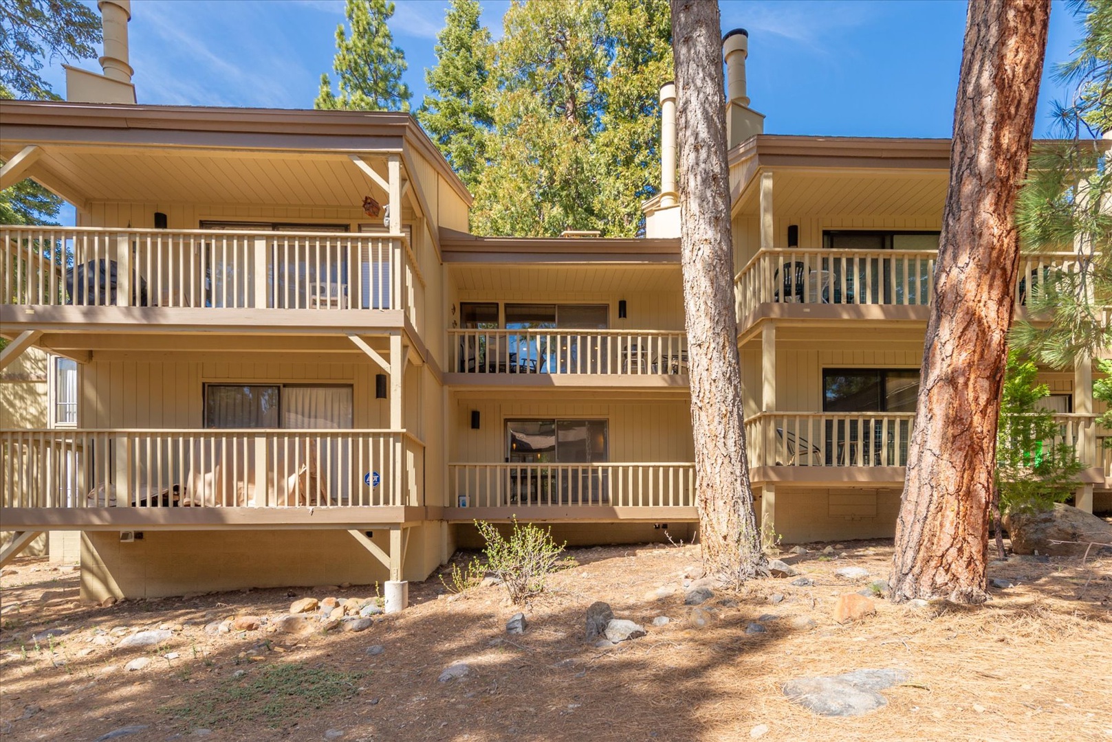 Multi-level vacation property nestled among towering pines, featuring private balconies and mountain lodge charm in a peaceful forest setting.