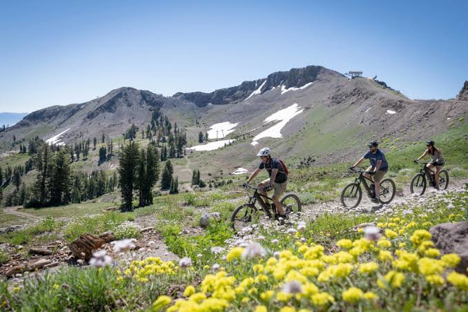 A scenic mountain biking trail surrounded by wildflowers winds through alpine terrain, with snow-dusted peaks rising in the distance—a stunning backdrop to the area's outdoor adventures.