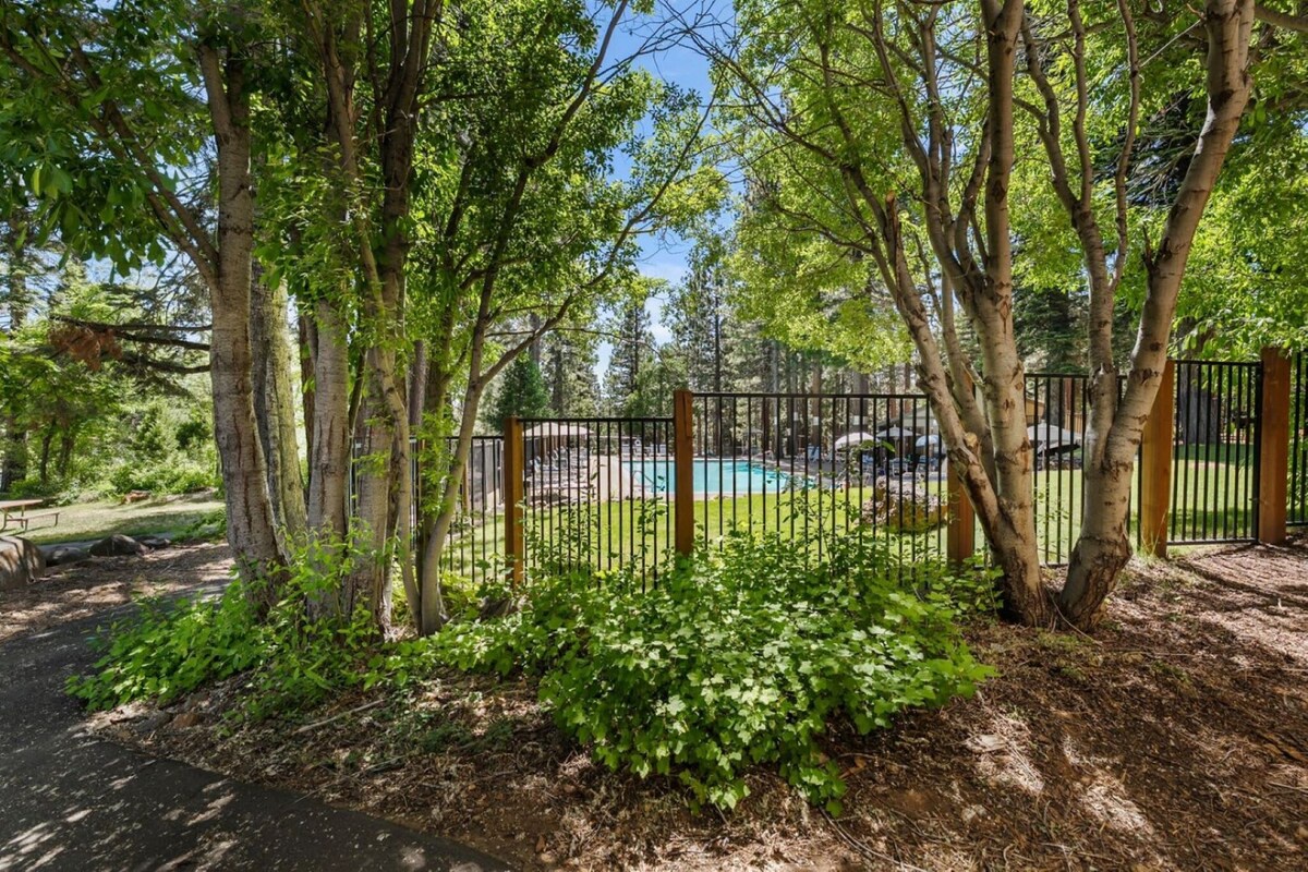 Mature trees create a natural canopy around the property's pool area, offering peaceful shade and privacy.