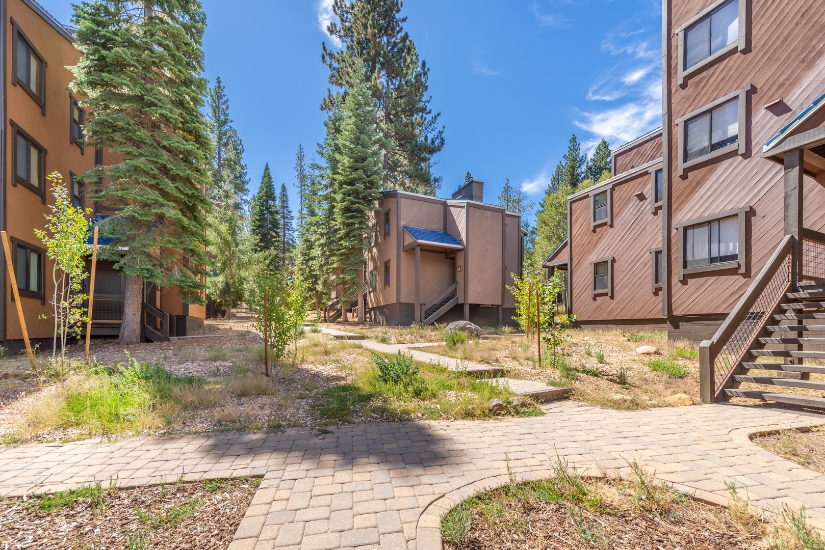 Nestled among towering pines, the property offers a serene mountain retreat with private access and peaceful natural surroundings.