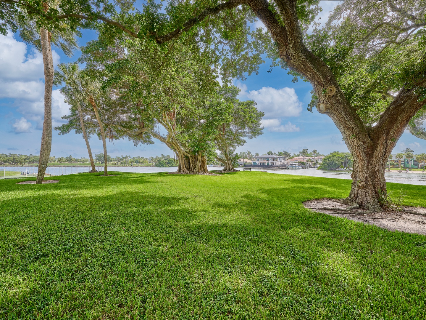 The property sits near a peaceful lake surrounded by mature shade trees and open lawns, offering a tranquil natural setting in a quiet residential area.