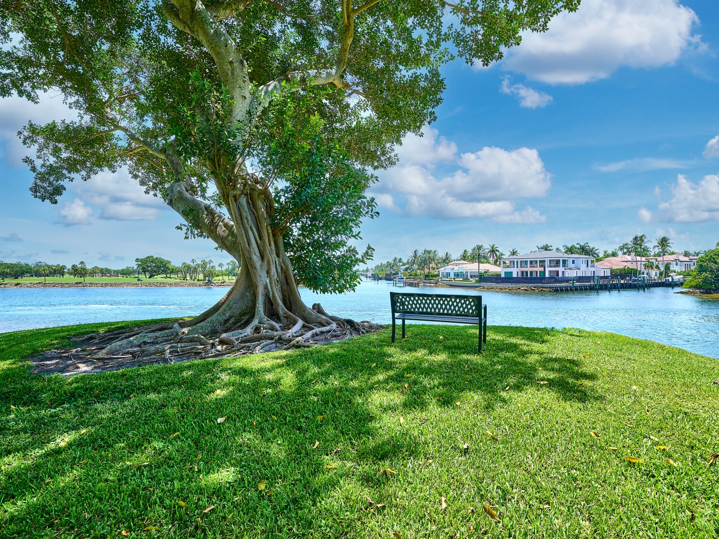 A peaceful waterfront bench sits beneath a majestic tree along the calm canal, with residential properties visible across the water on a beautiful sunny day.