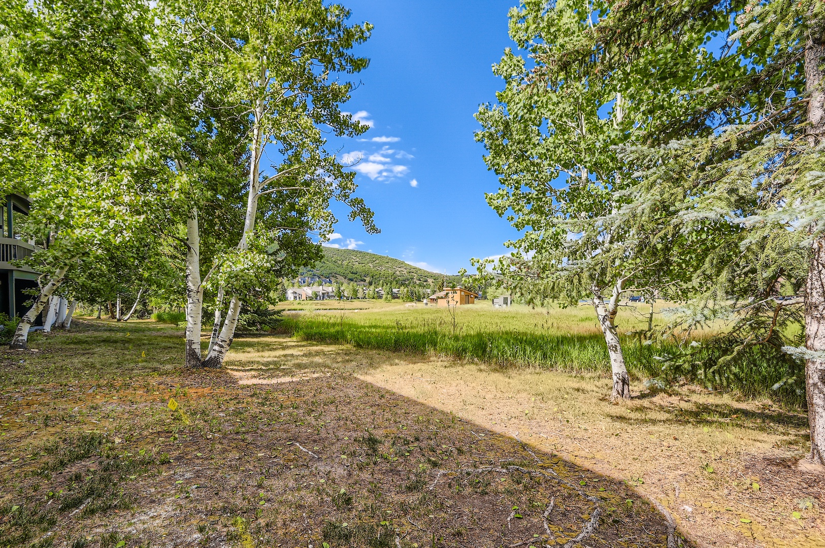 Property surrounded by aspen groves and open meadows, with mountain views and natural landscape defining the serene, private setting.