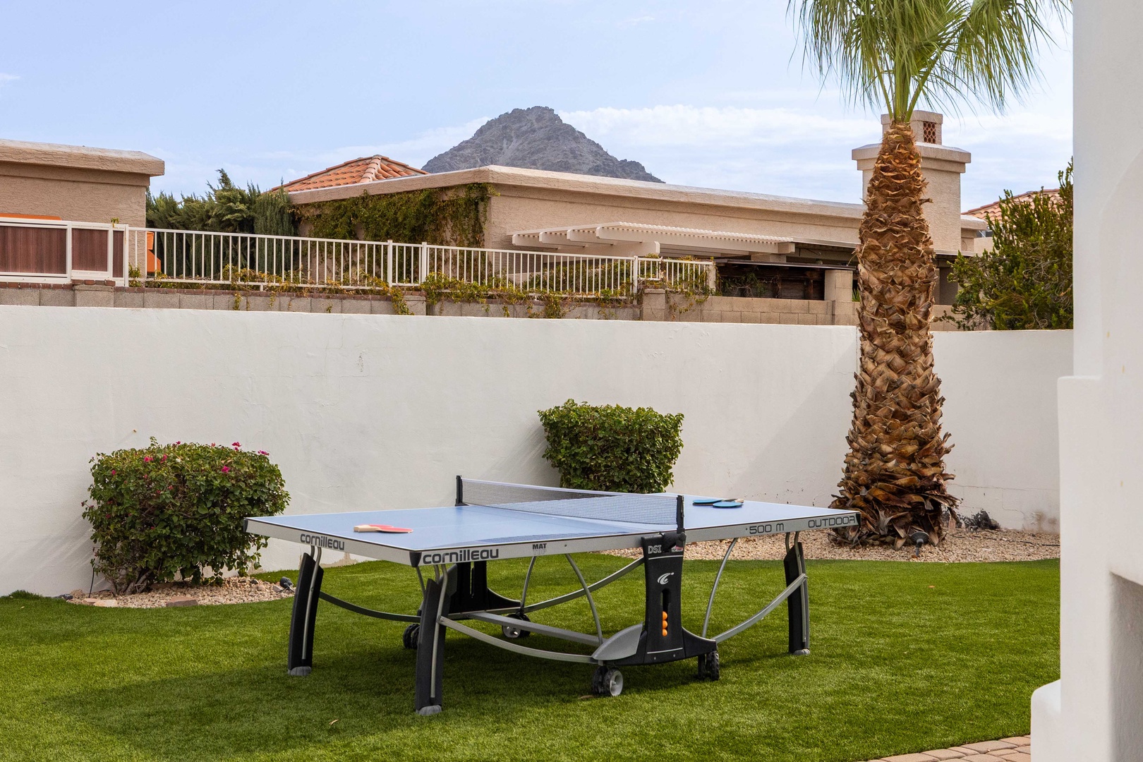 Ping Pong Table with a view