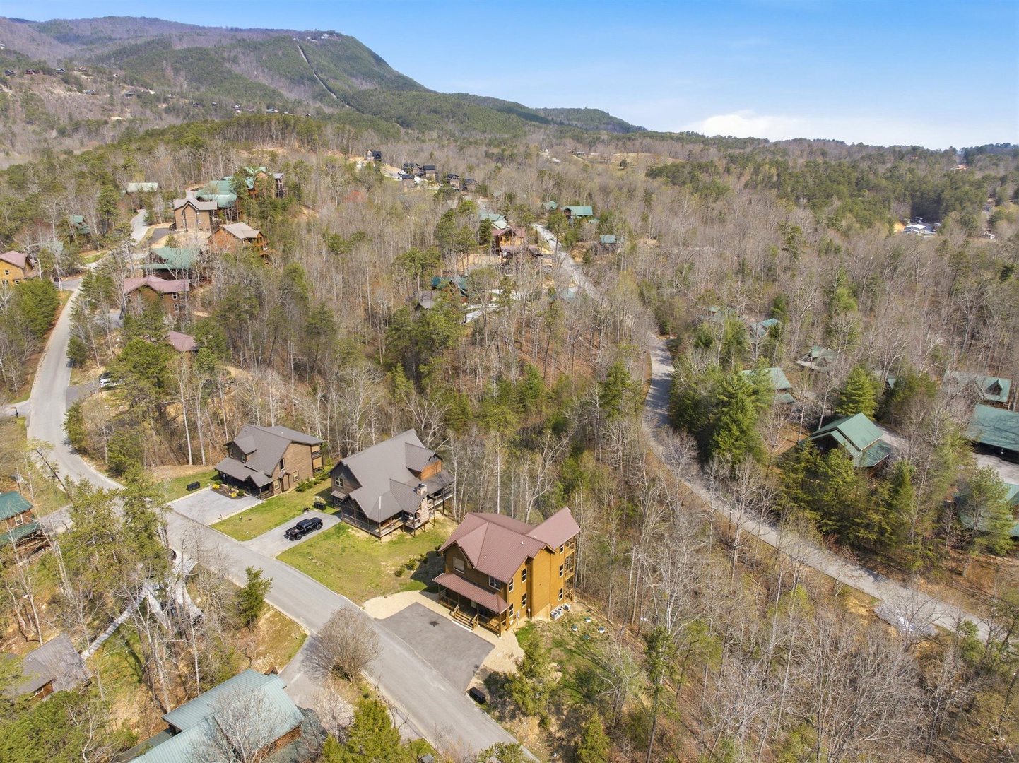 Aerial view of mountain vacation homes nestled in a forested valley with scenic mountain backdrop.