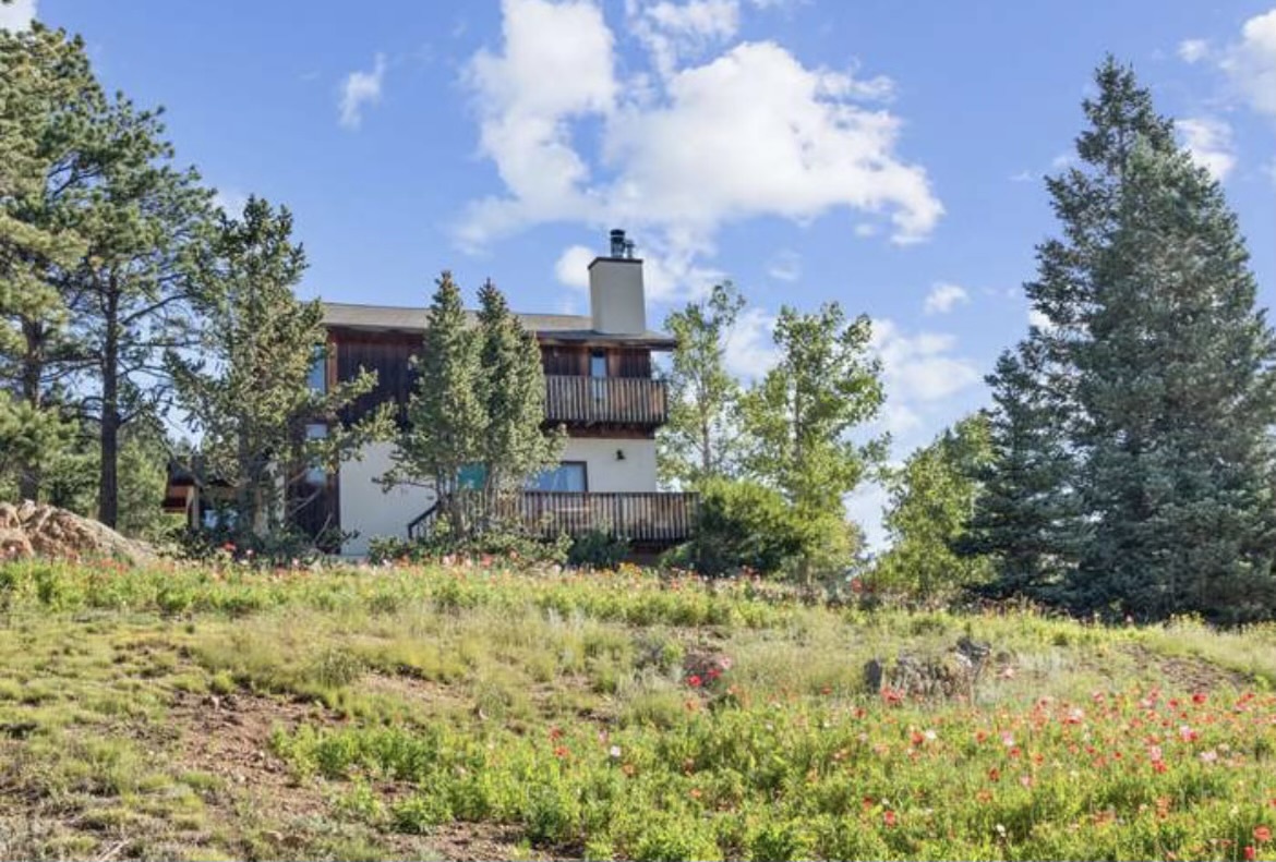 A peaceful mountain retreat surrounded by natural wildflower meadows and towering pine trees under bright blue skies.