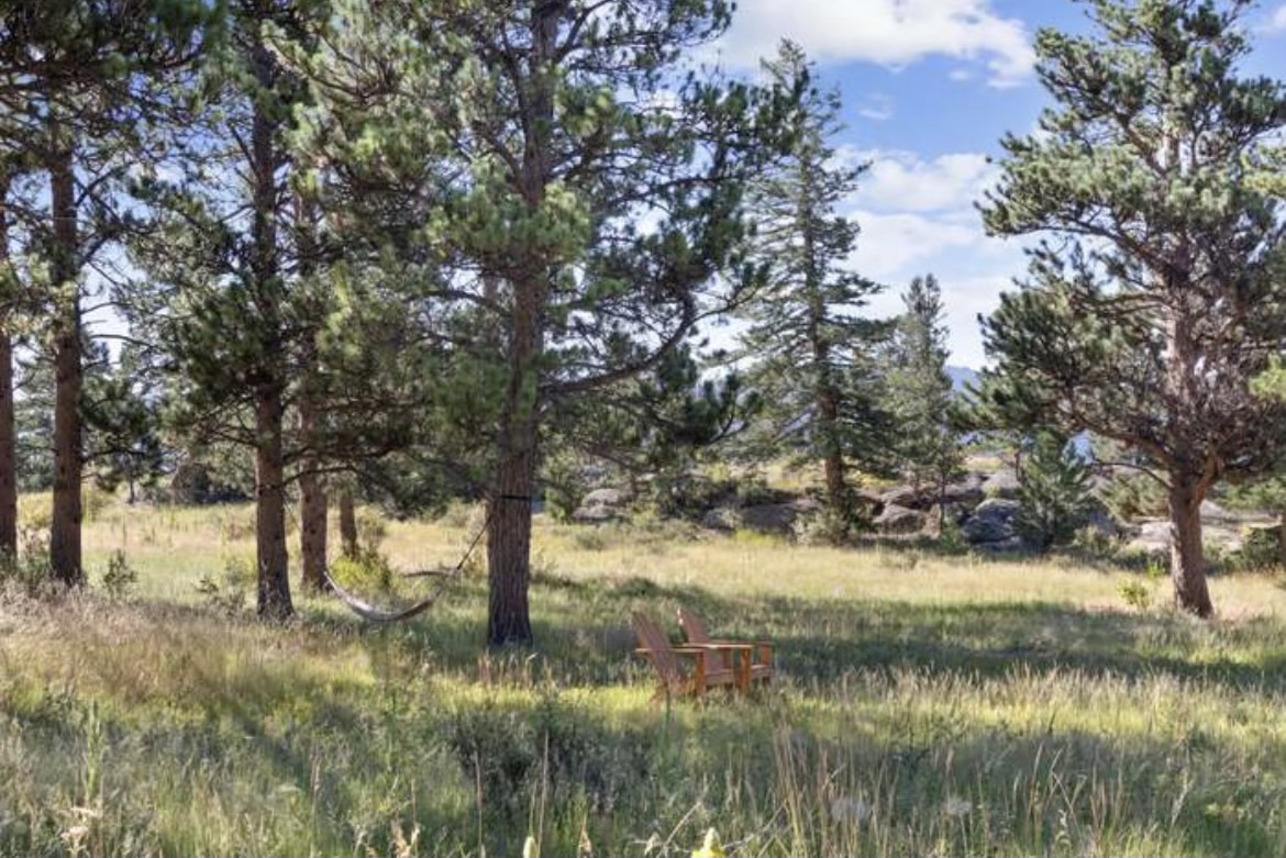 Natural meadow setting with mature pine trees and mountain backdrop, featuring outdoor seating area perfect for peaceful retreat.