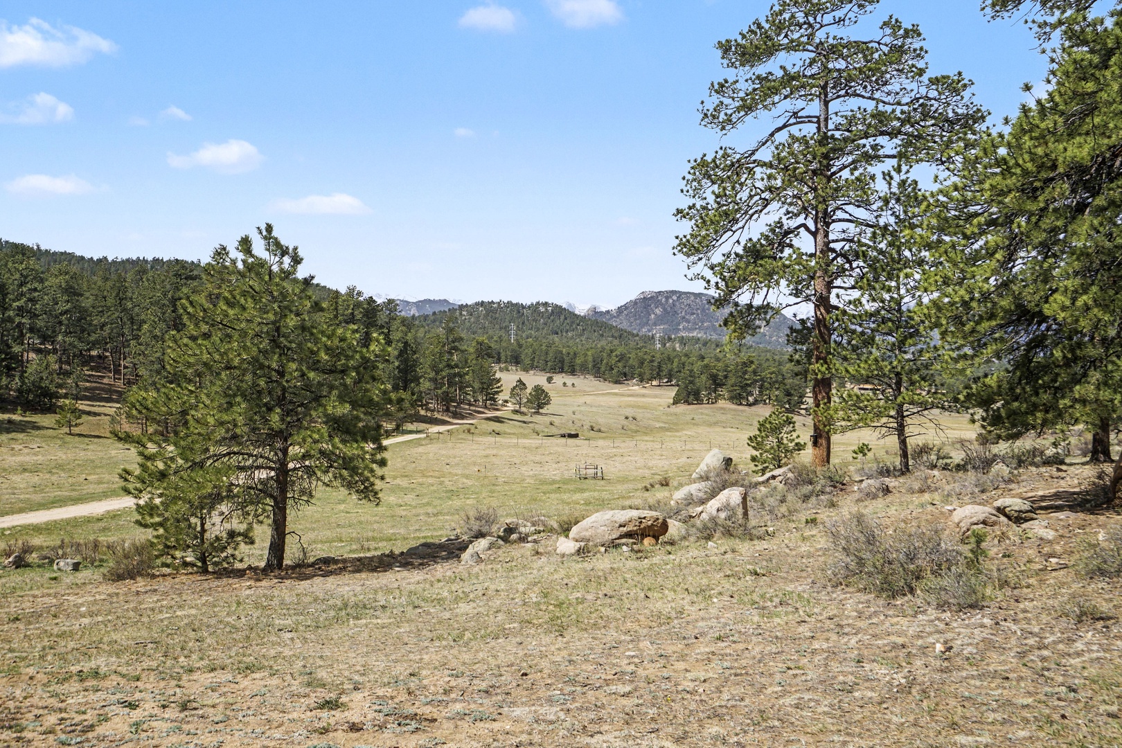 Expansive mountain valley with rolling meadows, scattered pines, and distant peaks creates a serene rural landscape backdrop.