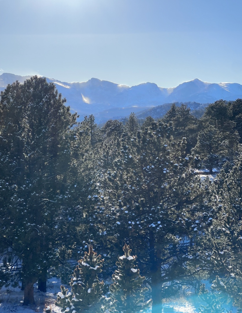 Stunning winter mountain panorama with snow-dusted peaks rising majestically above forested hills under clear blue skies.