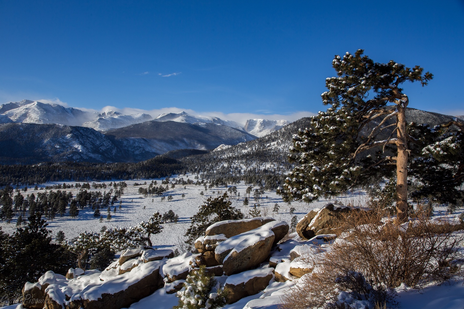 Stunning winter mountain panorama with snow-covered peaks, evergreen forest, and dramatic valley views surrounding the property area.